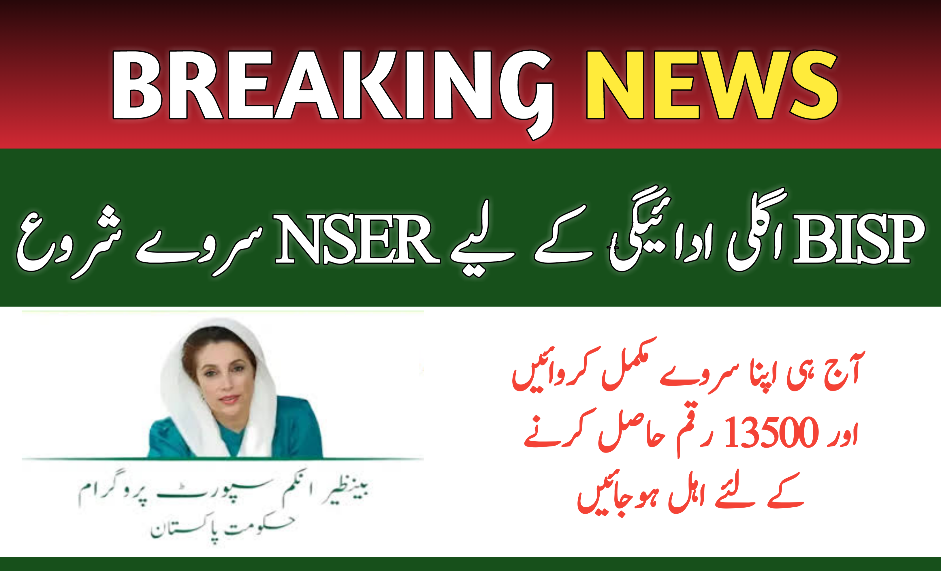 NSER Survey for BISP