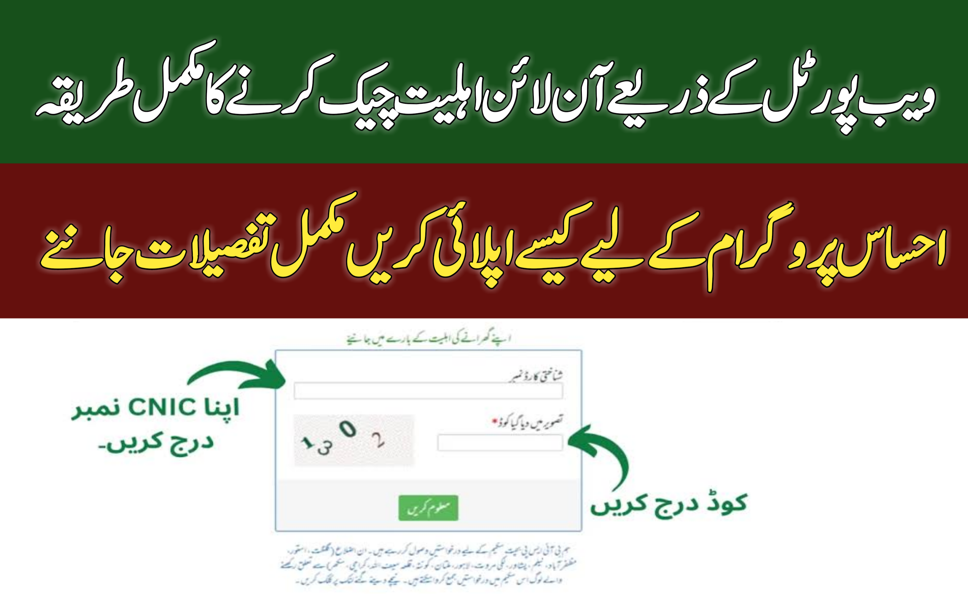 Ehsaas Program Through Web Portal