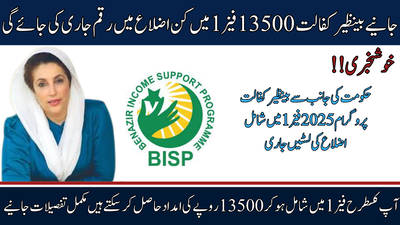 Benazir Support Initiative